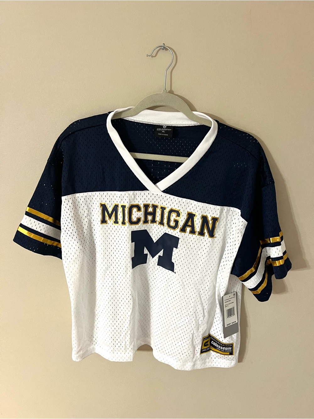 Colosseum Michigan Wolverines Treasure Cropped Football Jersey